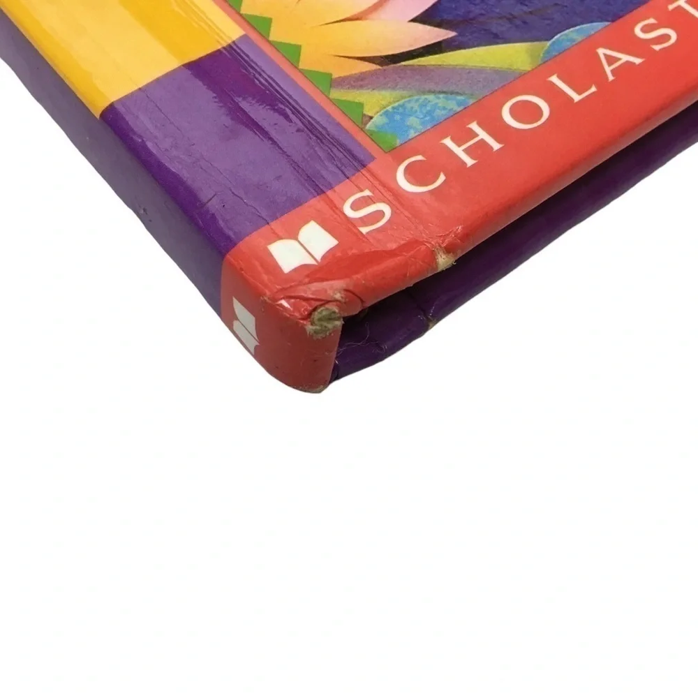 VINTAGE 1996 Book Hometowns Scholastic Classroom Homeschooling Reading School